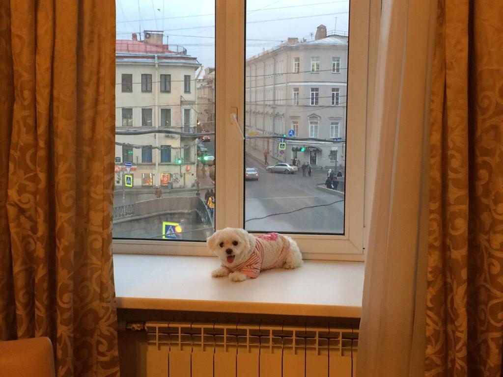 Kvartapart On Griboedova 50 Lägenhet Sankt Petersburg Exteriör bild